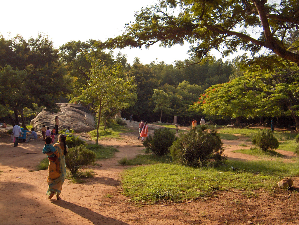 индийский парк в отрадном
