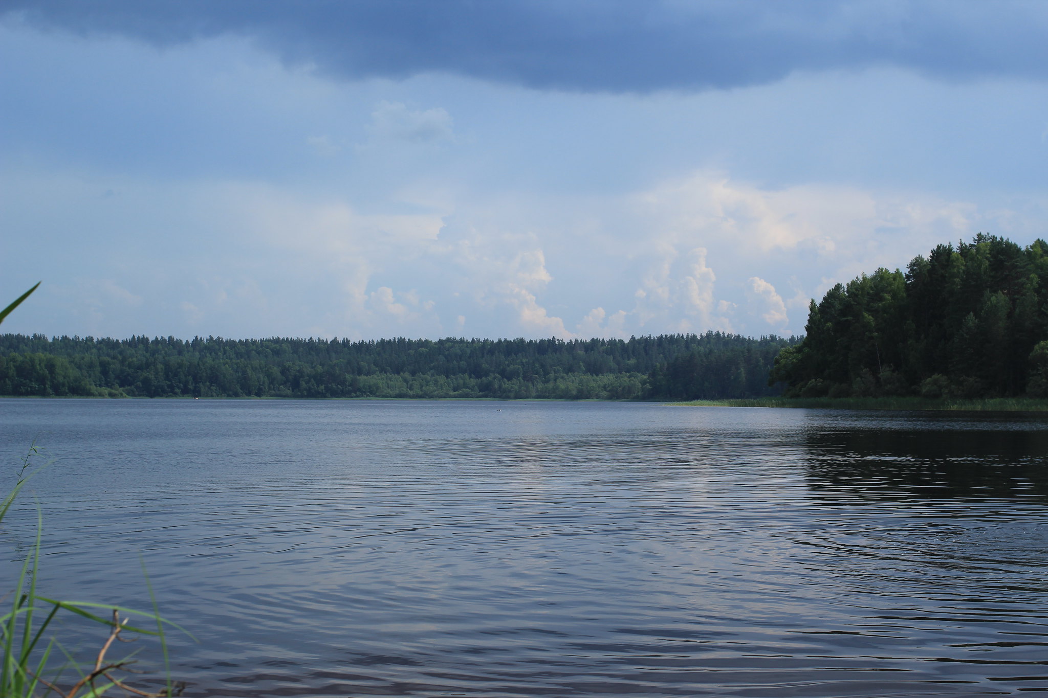 озеро сапшо в смоленской области