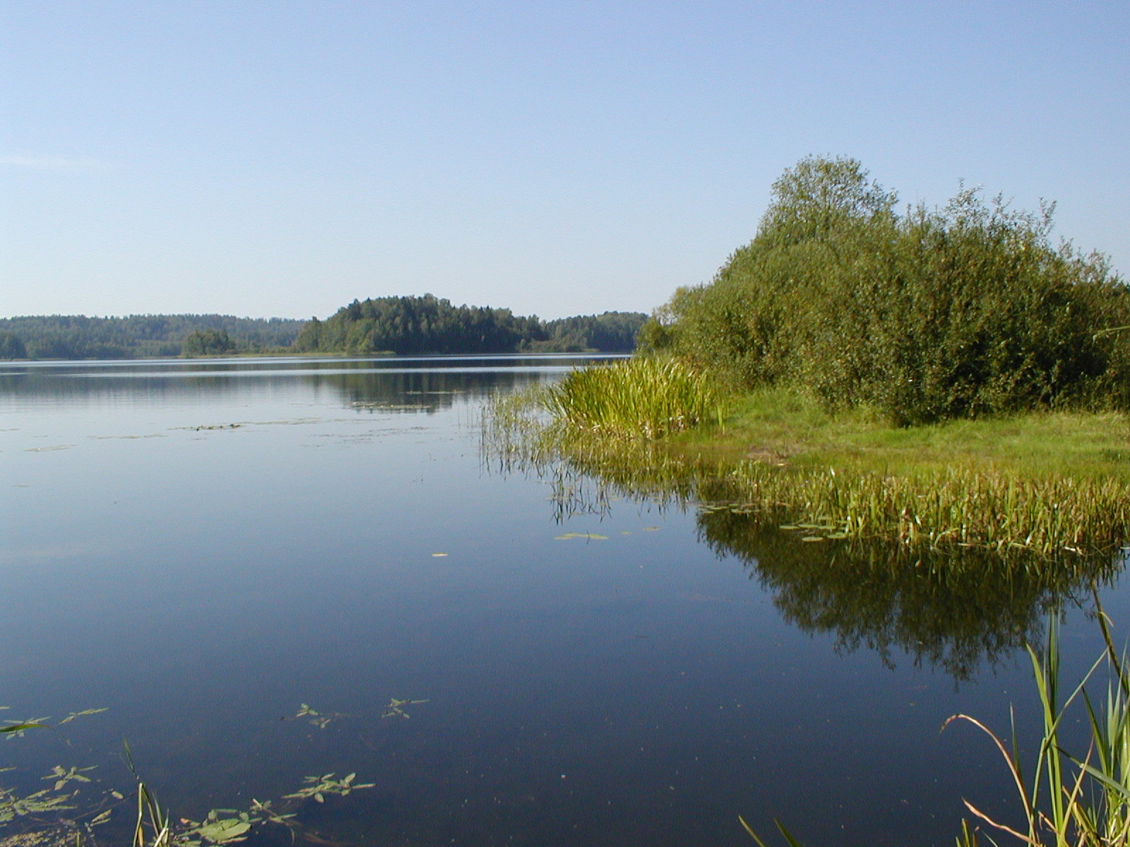 Озеро Щучье Смоленская